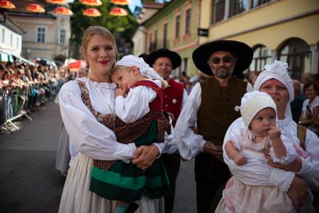 Izjemen obisk zaznamoval 50. Dneve narodnih noš in oblačilne dediščine v Kamniku (Blaž T. Muc)  (88)